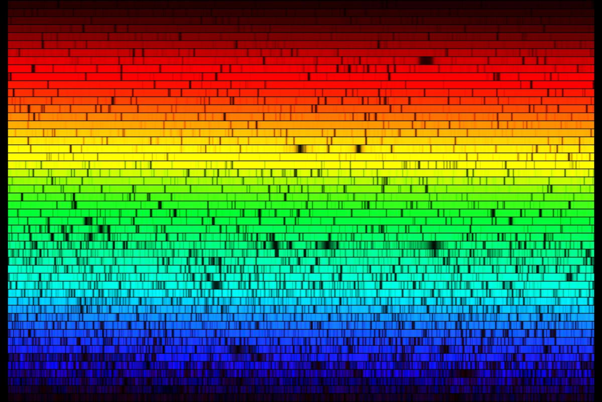 The rich spectrum of a cool star