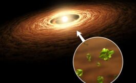 2019/02 - Artist view of the eruptive baby star EX Lupi and its protoplanetary disc in which silicate crystals like those found in comets can be created during outbursts of the central star. SPIRou will observe EX Lup simultaneously with TESS in June and July 2019 (© NASA/JPL)