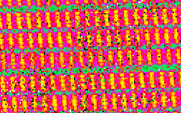 2017/06 - Animated gif generated from Fabry Perot images alternately secured with the lower and upper Hartmann masks in the beam (© IRAP / OMP)