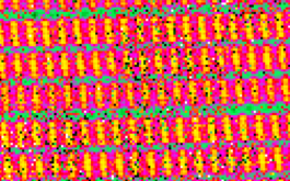 2017/06 - Animated gif generated from Fabry Perot images alternately secured with the lower and upper Hartmann masks in the beam (© IRAP / OMP)
