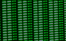 2018/04 - Zoom on Fabry-Perot lines, as recorded with SPIRou and its new science-grade H4RG array. Note that each spectrograph order (6 order portions are visible here) comes with three channels, two channels (left and middle) for recording the stellar spectrum (one channel for each of the two orthogonal polarization states) and one channel (right) for recording the reference FP spectrum (to track potential RV shifts within the spectrograph). FP spectra are recorded on all three channels during tests, in order to monitor the instrument RV precision, found to be better than 0.2 m/s rms on timescales of 24 hours (©SPIRou team)