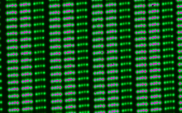 2018/04 - Zoom on Fabry-Perot lines, as recorded with SPIRou and its new science-grade H4RG array. Note that each spectrograph order (6 order portions are visible here) comes with three channels, two channels (left and middle) for recording the stellar spectrum (one channel for each of the two orthogonal polarization states) and one channel (right) for recording the reference FP spectrum (to track potential RV shifts within the spectrograph). FP spectra are recorded on all three channels during tests, in order to monitor the instrument RV precision, found to be better than 0.2 m/s rms on timescales of 24 hours (©SPIRou team)