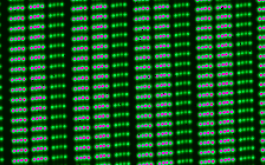 2018/04 - Zoom on Fabry-Perot lines, as recorded with SPIRou and its new science-grade H4RG array. Note that each spectrograph order (6 order portions are visible here) comes with three channels, two channels (left and middle) for recording the stellar spectrum (one channel for each of the two orthogonal polarization states) and one channel (right) for recording the reference FP spectrum (to track potential RV shifts within the spectrograph). FP spectra are recorded on all three channels during tests, in order to monitor the instrument RV precision, found to be better than 0.2 m/s rms on timescales of 24 hours (©SPIRou team)