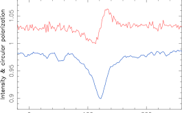 2018/04/24 - Circular polarization (red) in the spectral lines of AD Leo (blue) reveals the presence of magnetic fields at the surface of this active red dwarf (©J.-F. Donati – IRAP/OMP)