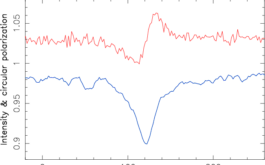 2018/04/24 - Circular polarization (red) in the spectral lines of AD Leo (blue) reveals the presence of magnetic fields at the surface of this active red dwarf (©J.-F. Donati – IRAP/OMP)