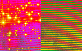 2017/03 - Zoom on a SPIRou spectrum of a Thorium-Argon hollow-cathode calibration lamp (at left) and of a Fabry-Perot calibration lamp (at right) (©IRAP/OMP)