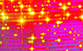2017/03 - Zoom on a SPIRou spectrum of a Thorium-Argon hollow-cathode calibration lamp (©IRAP/OMP)
