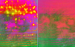 2017/06 - ThAr and Fabry Perot images secured with SPIRou perfectly focussed (© IRAP / OMP)