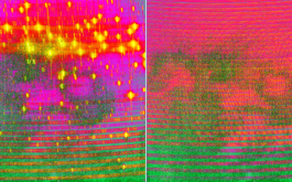 2017/06 - ThAr and Fabry Perot images secured with SPIRou perfectly focussed (© IRAP / OMP)