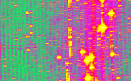 2018/04 - Portion of the SPIRou spectrum of a UNe hollow-cathode lamp as recorded by the new science-grade H4RG array (©SPIRou team)