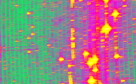 2018/04 - Portion of the SPIRou spectrum of a UNe hollow-cathode lamp as recorded by the new science-grade H4RG array (©SPIRou team)