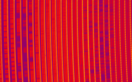 2018/04/24 - Portion of a SPIRou frame recorded for AD Leo. Each group of three vertical bars corresponds to one spectral order, covering a small region of the overall spectral domain. The two left-most vertical bars of each order contain the spectrum of AD Leo (in two polarization states) whereas the right-most one contains a Fabry-Perot spectrum ensuring that velocimetric variations of the star can be monitored with a precision of 1 m/s or better. The spectral lines of AD Leo (along with telluric lines from the Earth’s atmosphere) show up as darker horizontal bands in the image. These lines form a cosmic barcode encrypting information about AD Leo and its potential planets, that SPIRou will be able decipher. (©SPIRou team)