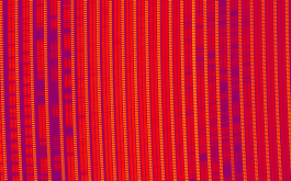 2018/04/24 - Portion of a SPIRou frame recorded for AD Leo. Each group of three vertical bars corresponds to one spectral order, covering a small region of the overall spectral domain. The two left-most vertical bars of each order contain the spectrum of AD Leo (in two polarization states) whereas the right-most one contains a Fabry-Perot spectrum ensuring that velocimetric variations of the star can be monitored with a precision of 1 m/s or better. The spectral lines of AD Leo (along with telluric lines from the Earth’s atmosphere) show up as darker horizontal bands in the image. These lines form a cosmic barcode encrypting information about AD Leo and its potential planets, that SPIRou will be able decipher. (©SPIRou team)
