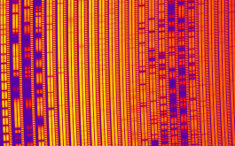 2021/02 - Portion of a SPIRou frame recorded for AU Mic. Each group of three vertical bars corresponds to one spectral order, covering a small region of the spectral domain. The two left-most vertical bars of each order contain the spectrum of AU Mic (in two orthogonal polarization states) whereas the right-most one contains a Fabry-Perot spectrum ensuring that velocimetric variation of the star can be monitored with a precision of a few m/s. The spectral lines (along with telluric lines from the Earth’s atmosphere) show up as darker horizontal bands in the image. These lines form a cosmic barcode encrypting information about AU Mic, its transiting planet and its magnetic activity that the SPIRou team was able to decode for the discovery outlined in this press release (©SPIRou team)