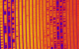 2021/02 - Portion of a SPIRou frame recorded for AU Mic. Each group of three vertical bars corresponds to one spectral order, covering a small region of the spectral domain. The two left-most vertical bars of each order contain the spectrum of AU Mic (in two orthogonal polarization states) whereas the right-most one contains a Fabry-Perot spectrum ensuring that velocimetric variation of the star can be monitored with a precision of a few m/s. The spectral lines (along with telluric lines from the Earth’s atmosphere) show up as darker horizontal bands in the image. These lines form a cosmic barcode encrypting information about AU Mic, its transiting planet and its magnetic activity that the SPIRou team was able to decode for the discovery outlined in this press release (©SPIRou team)
