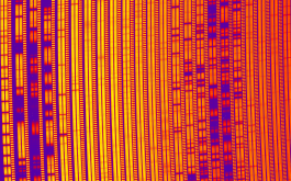 2021/02 - Portion of a SPIRou frame recorded for AU Mic. Each group of three vertical bars corresponds to one spectral order, covering a small region of the spectral domain. The two left-most vertical bars of each order contain the spectrum of AU Mic (in two orthogonal polarization states) whereas the right-most one contains a Fabry-Perot spectrum ensuring that velocimetric variation of the star can be monitored with a precision of a few m/s. The spectral lines (along with telluric lines from the Earth’s atmosphere) show up as darker horizontal bands in the image. These lines form a cosmic barcode encrypting information about AU Mic, its transiting planet and its magnetic activity that the SPIRou team was able to decode for the discovery outlined in this press release (©SPIRou team)